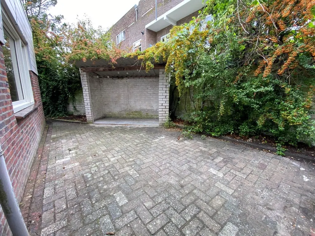 Afbeelding 17 van 19