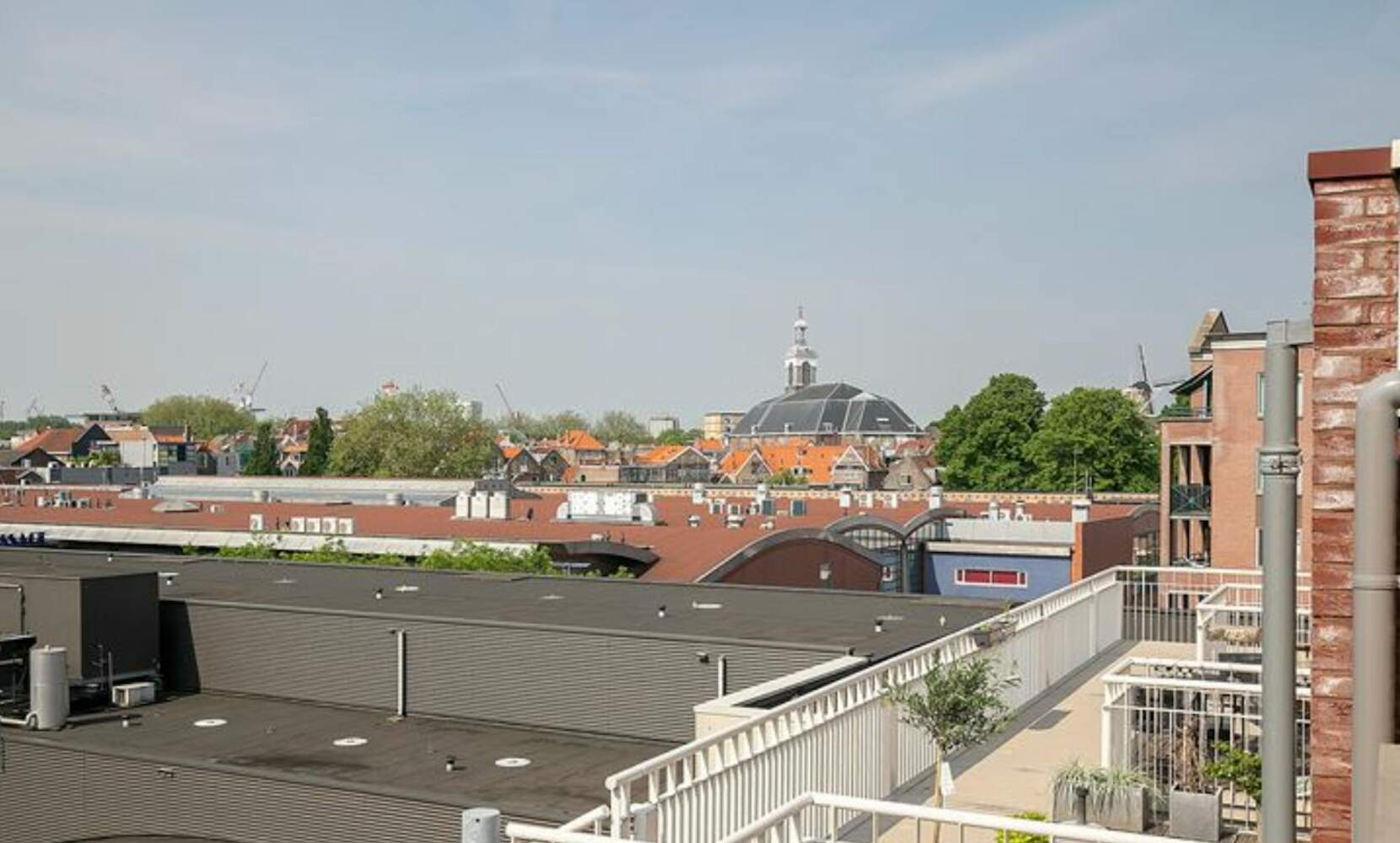 Afbeelding 1 van 9