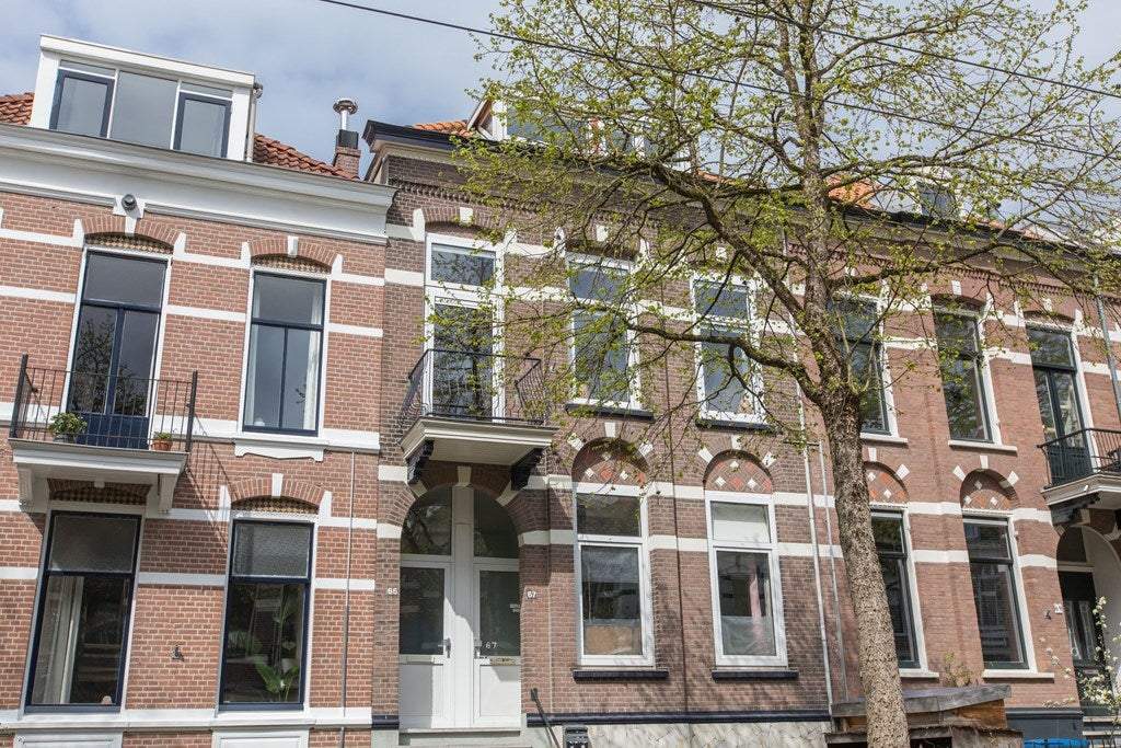 Afbeelding 1 van 53
