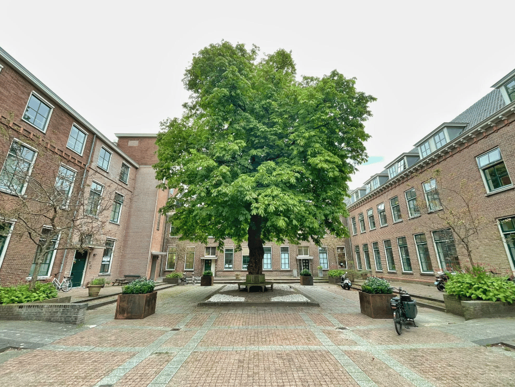 Image 27 of 37