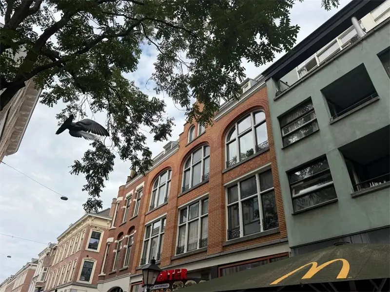 Afbeelding 18 van 18