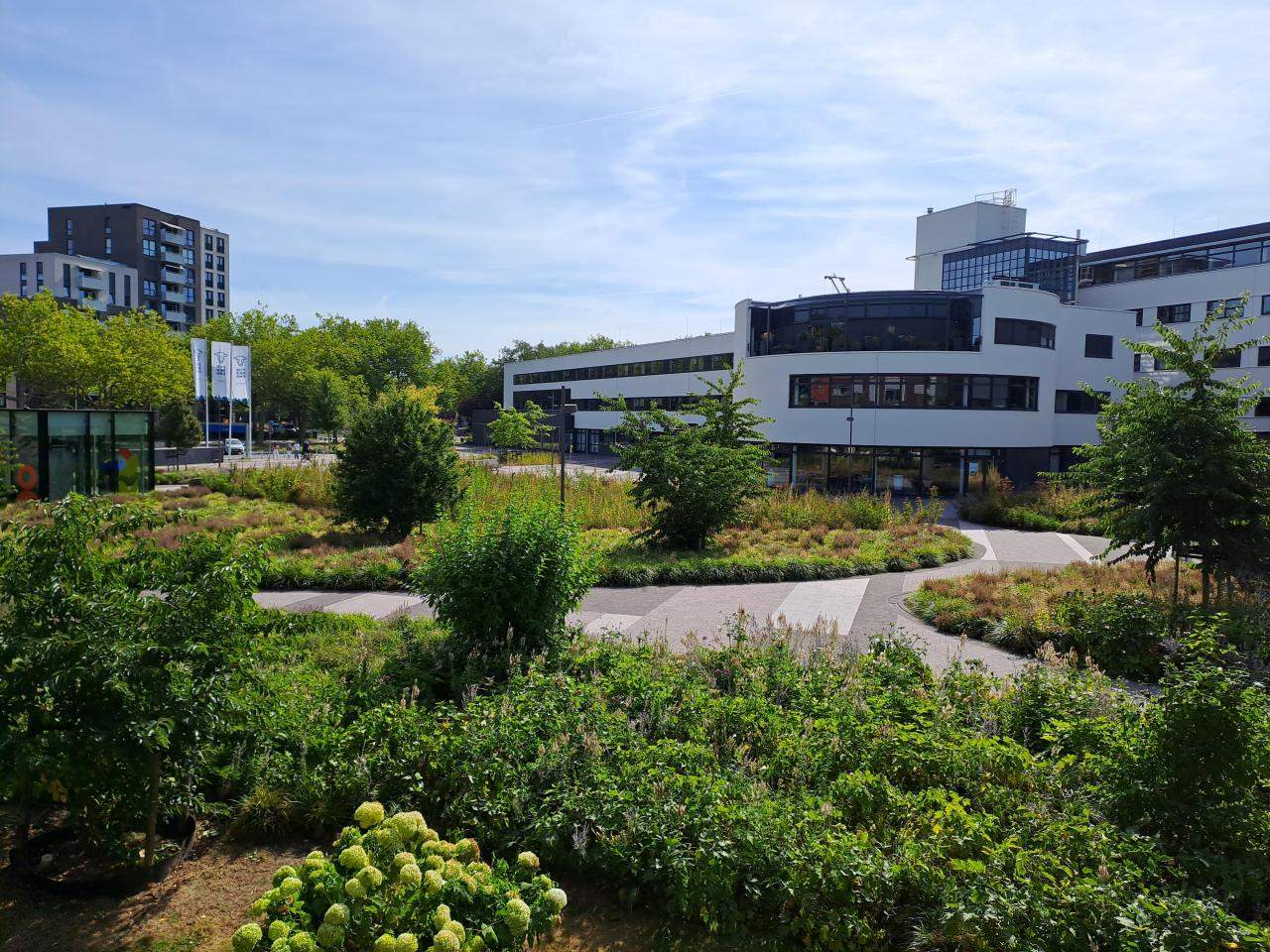 Afbeelding 5 van 9