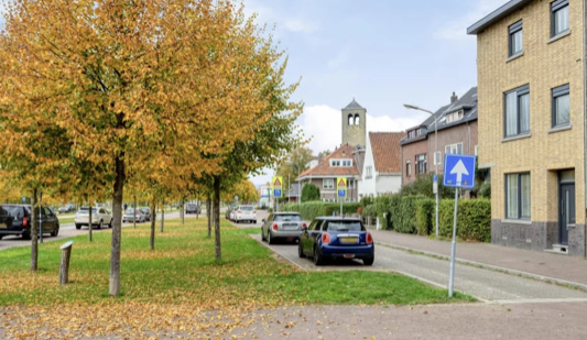Afbeelding 7 van 24