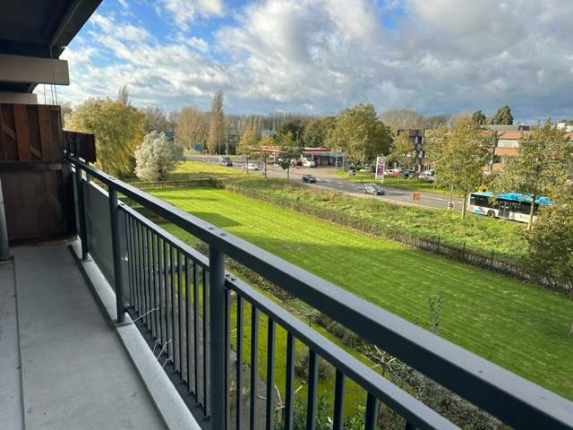 Image 15 of 19