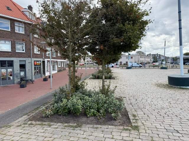 Image 23 of 44