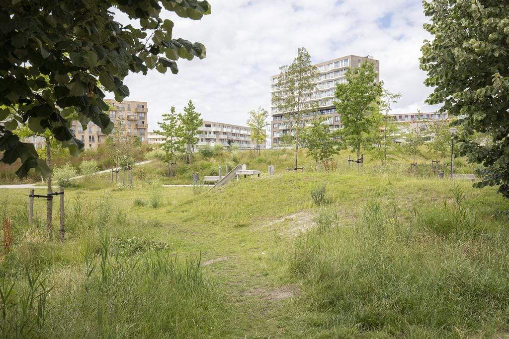 Bild 26 von 33