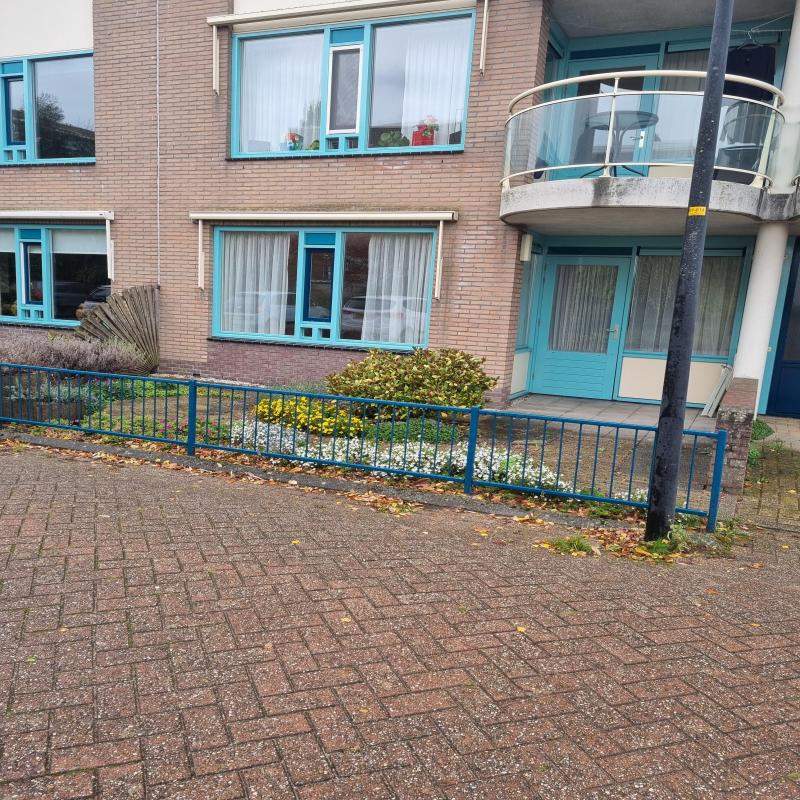 Afbeelding 4 van 6