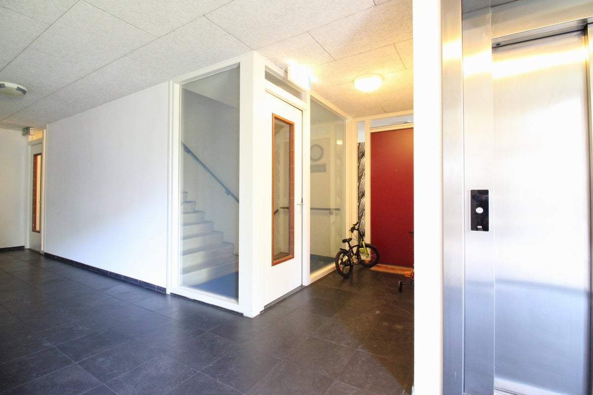 Afbeelding 3 van 23