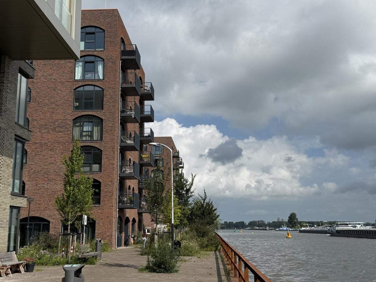 Afbeelding 3 van 15