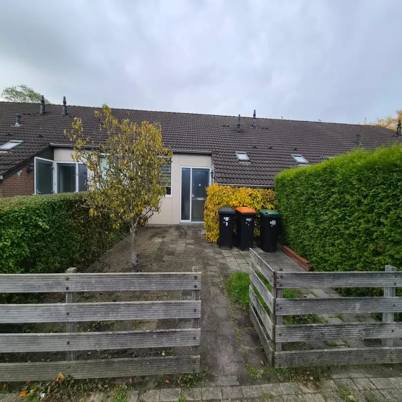Afbeelding 4 van 4