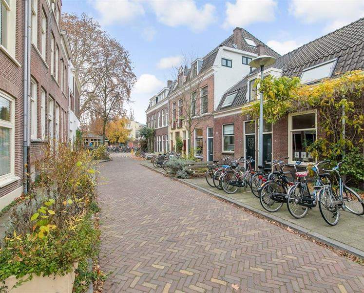 Afbeelding 1 van 12