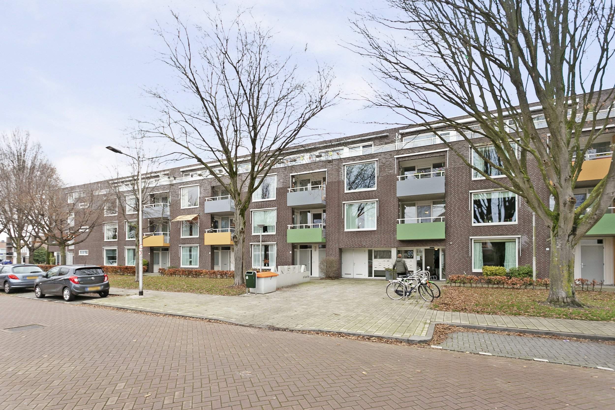 Afbeelding 1 van 1