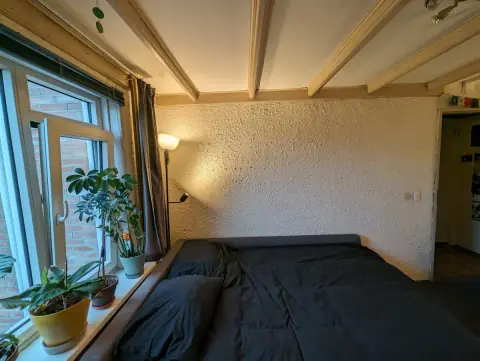 Room Minister van Sonstraat in Tilburg - For Rent