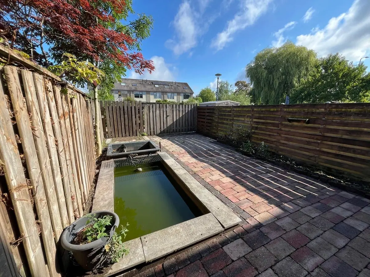 Image 11 of 28