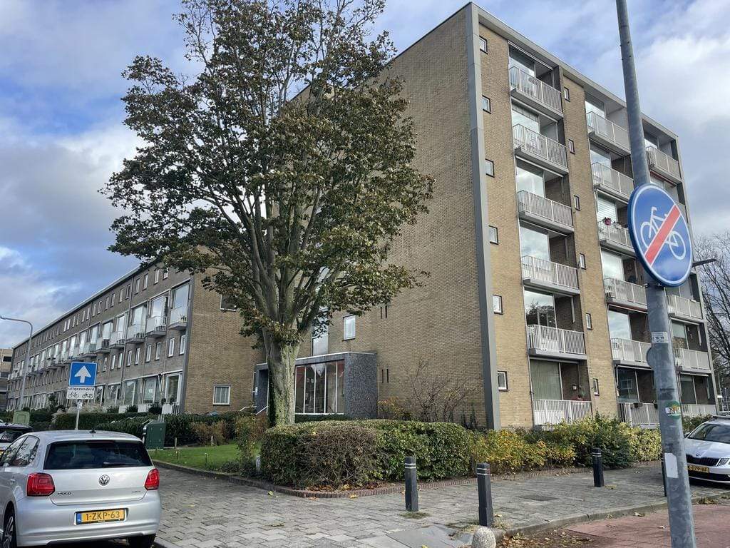 Image 1 of 12