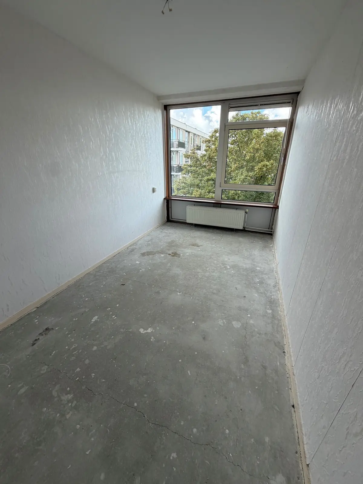 Bild 7 von 13