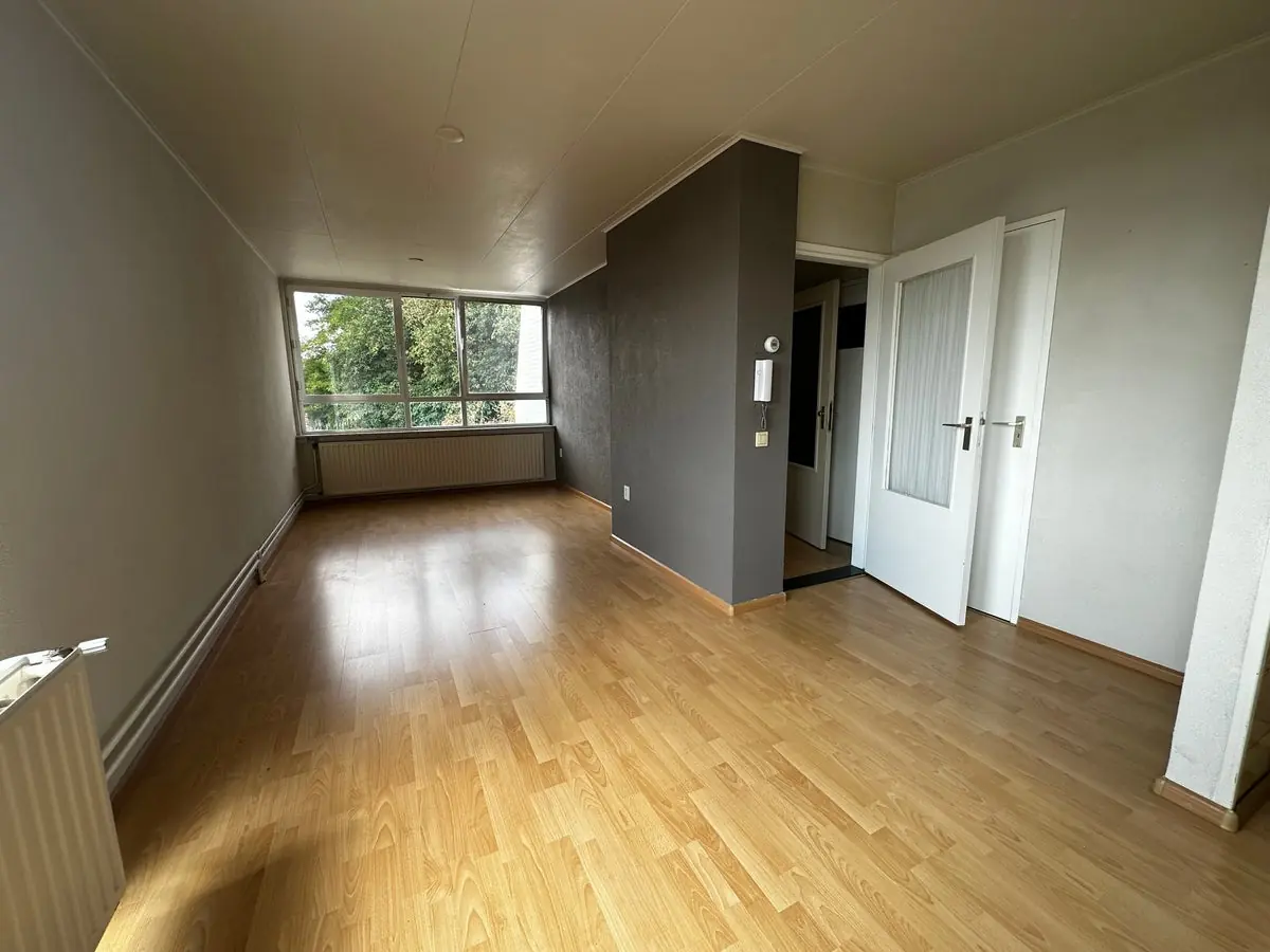Image 2 of 11