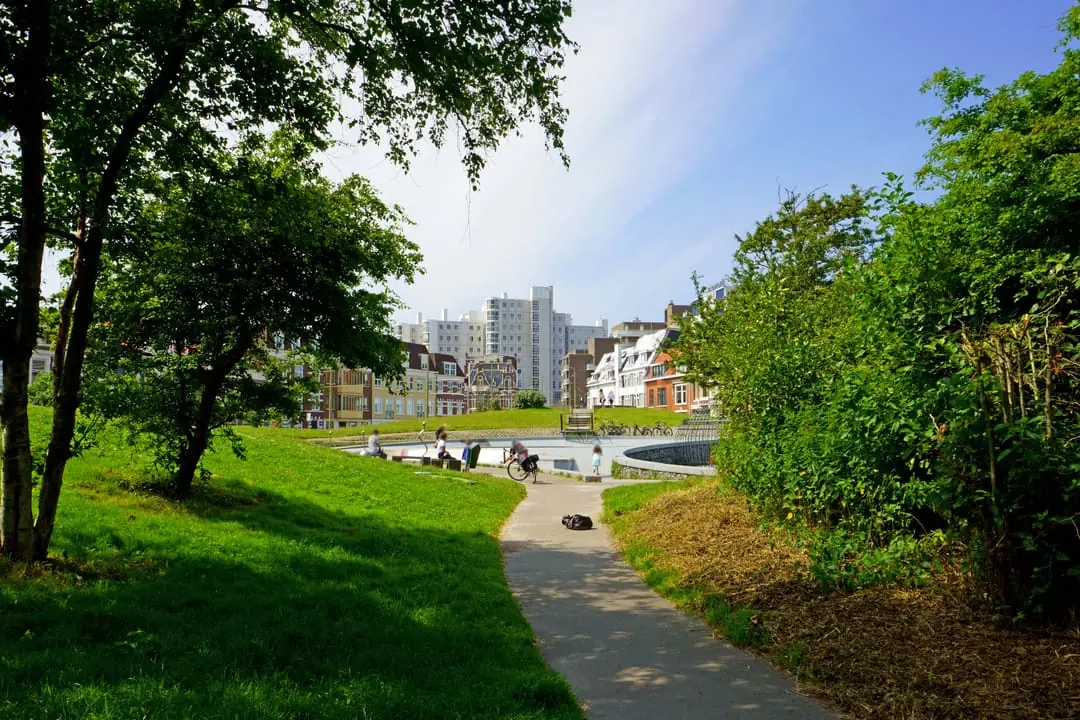 Image 13 of 18