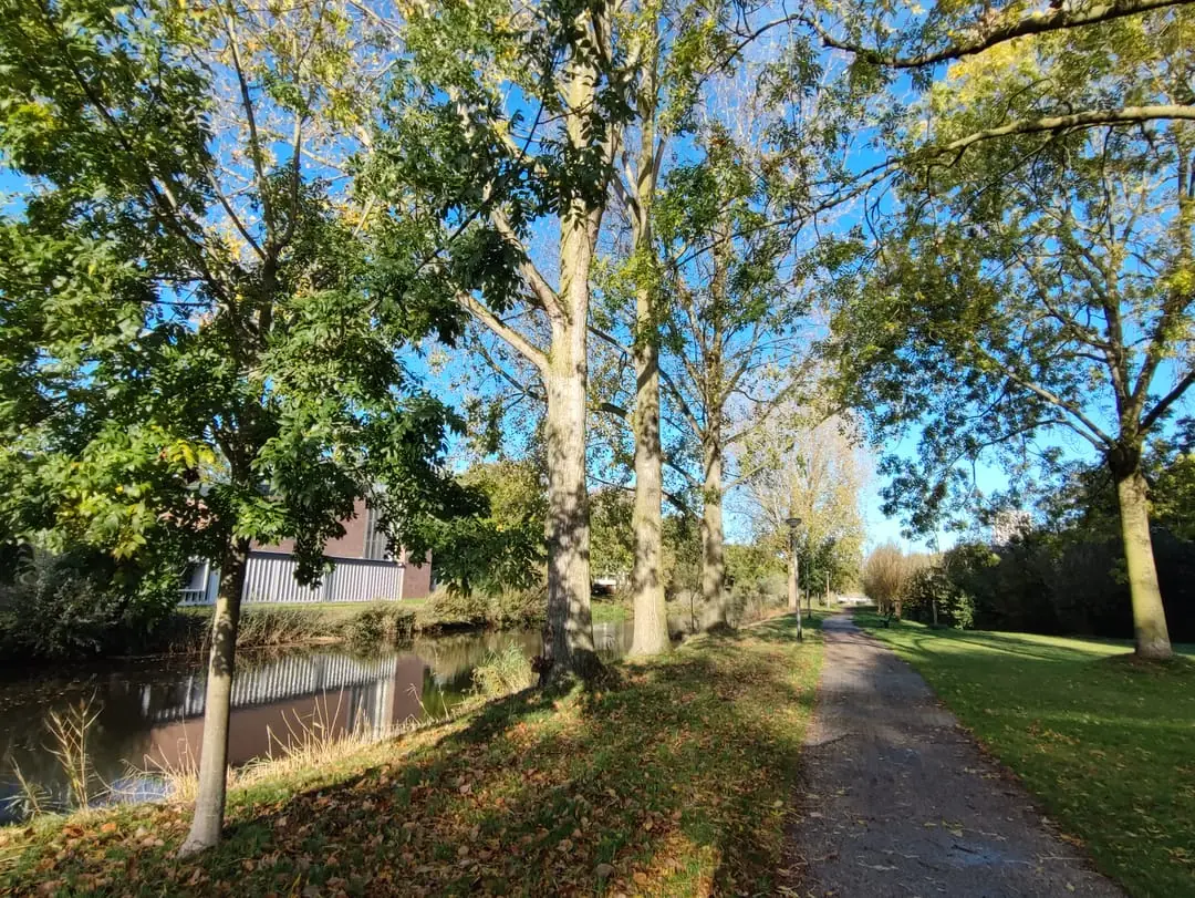 Bild 31 von 33