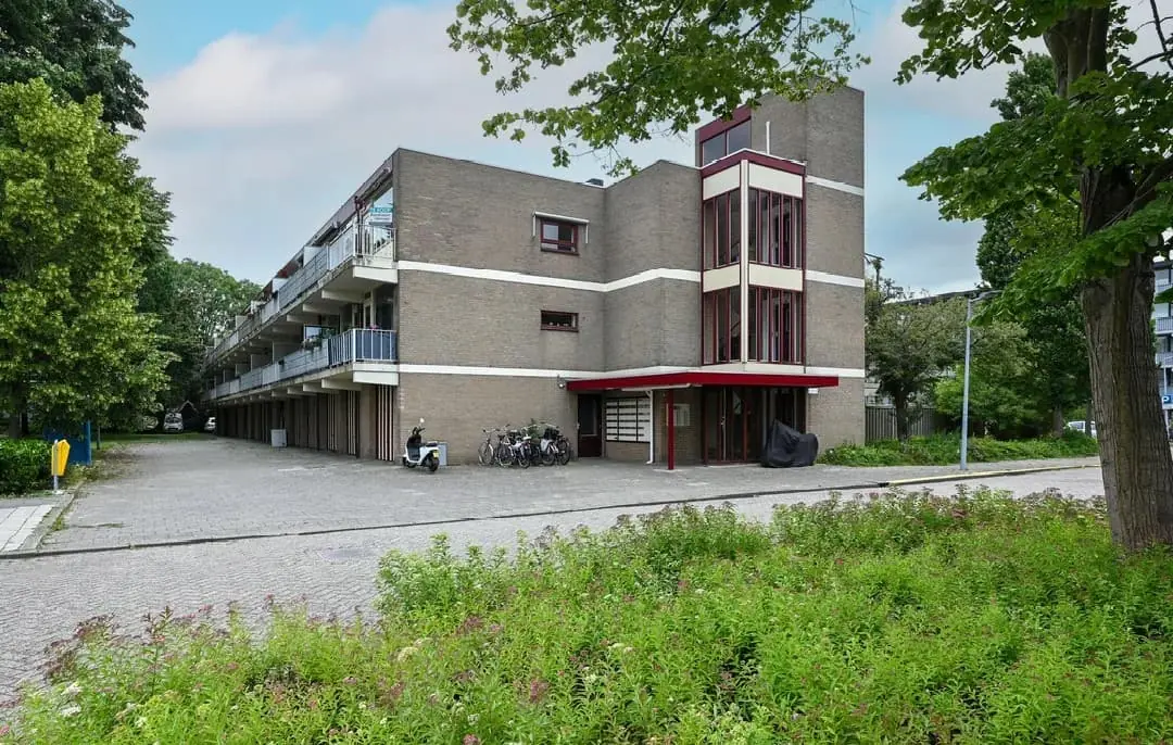 Afbeelding 9 van 9