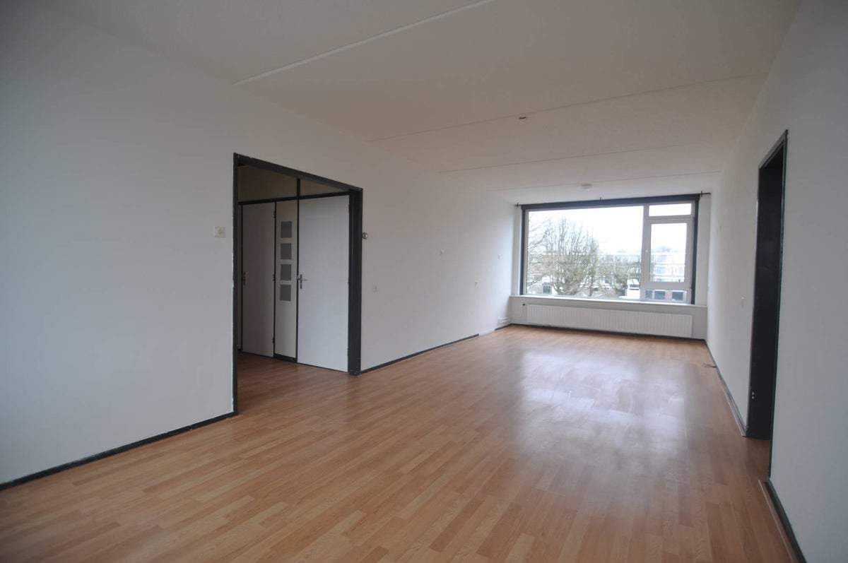 Bild 3 von 12