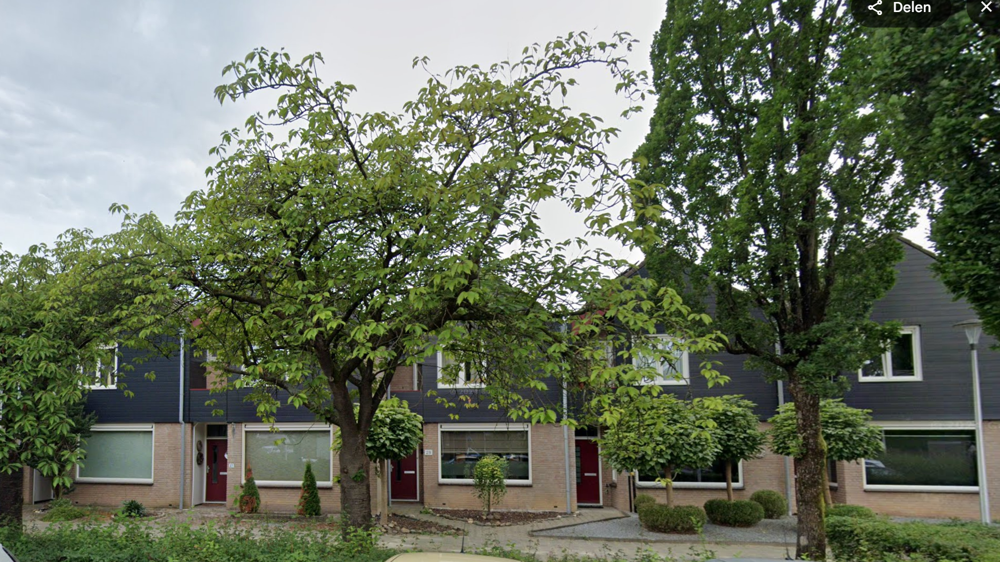 Afbeelding 2 van 4