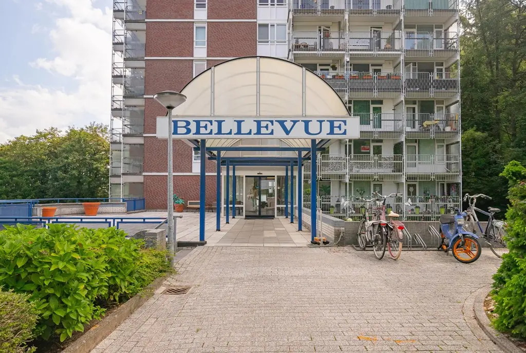 Afbeelding 2 van 13