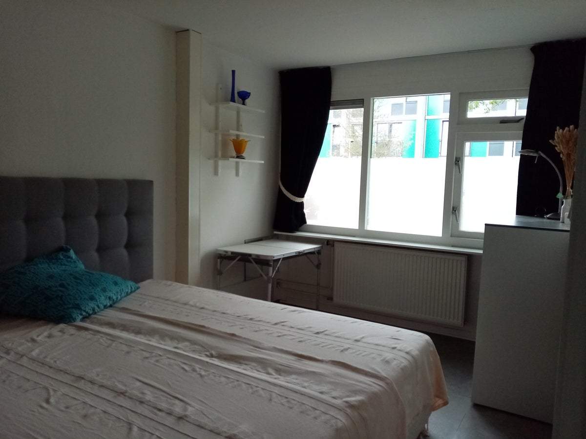 Bild 3 von 11