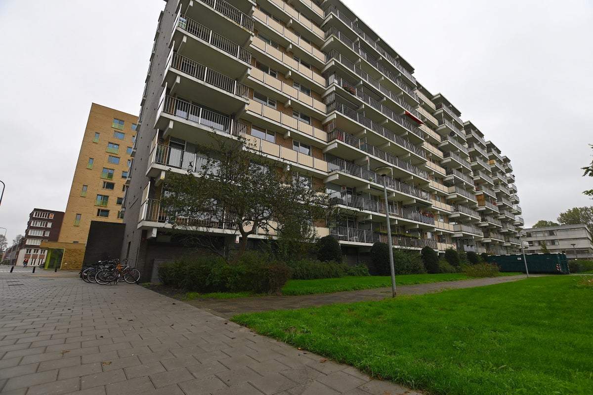 Afbeelding 1 van 17