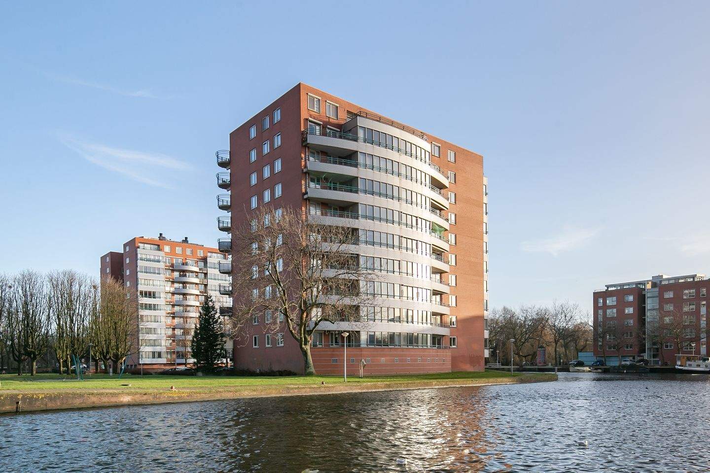 Afbeelding 1 van 12