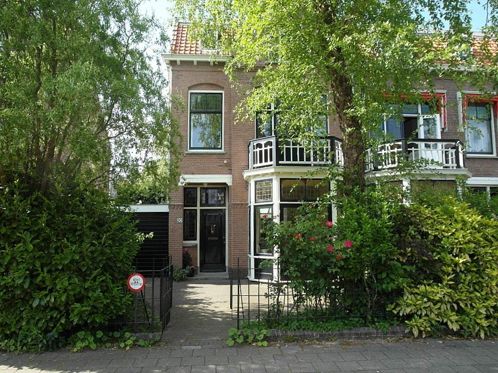 Afbeelding 1 van 31