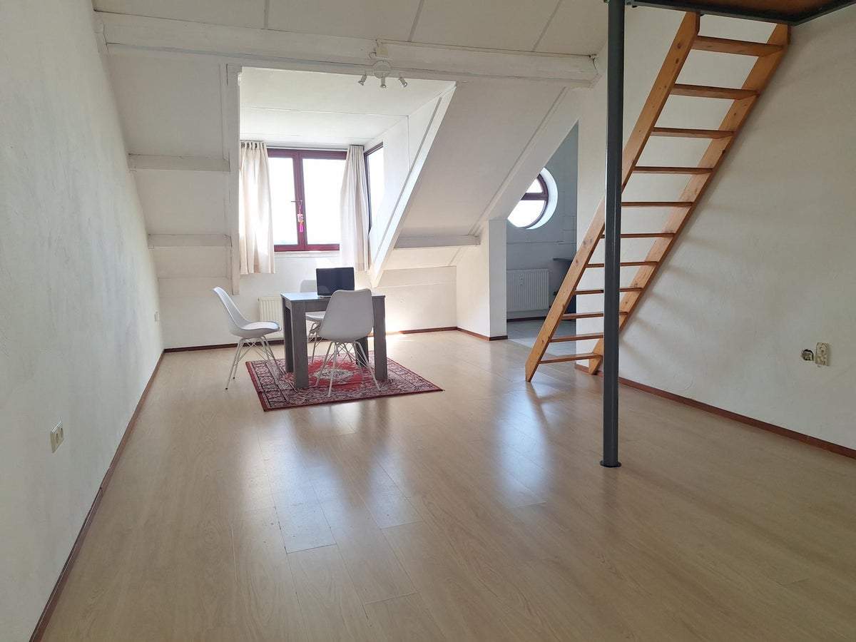 Bild 3 von 12