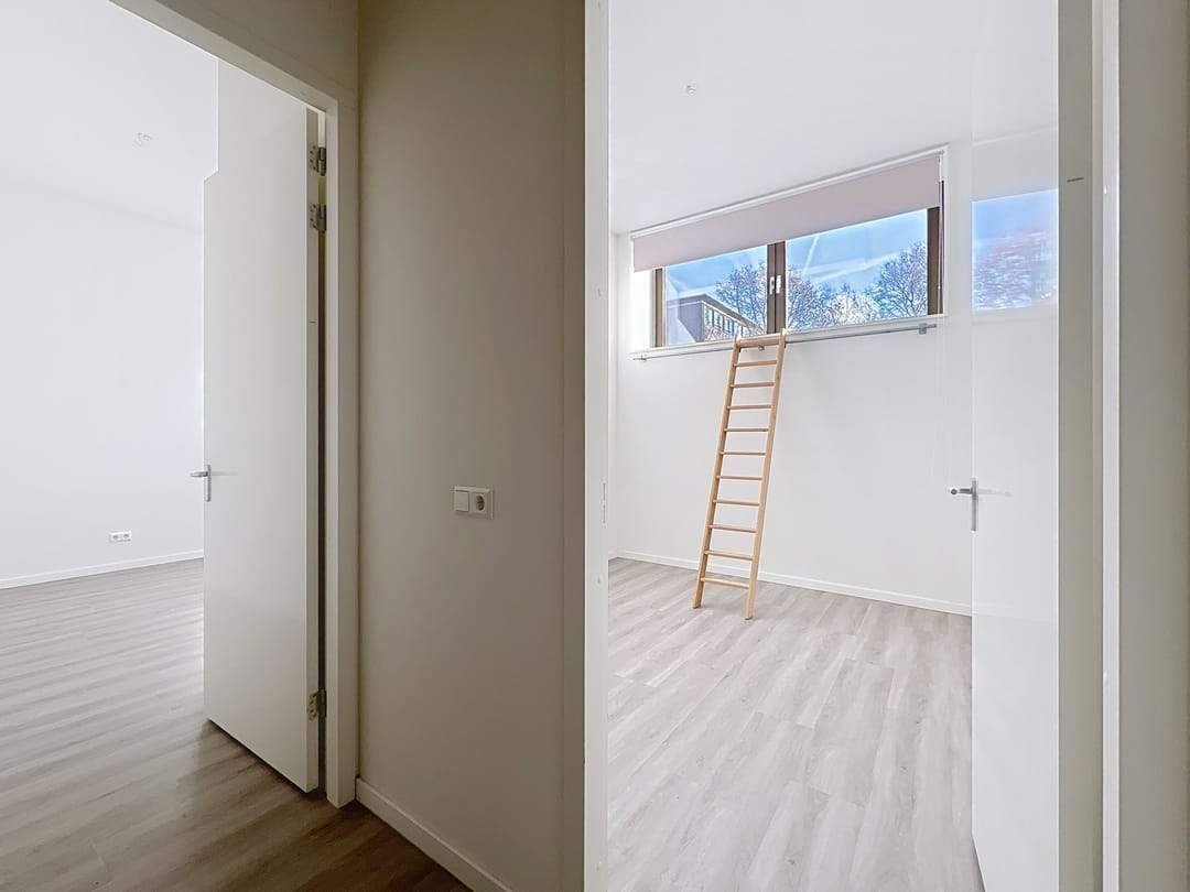 Bild 7 von 15