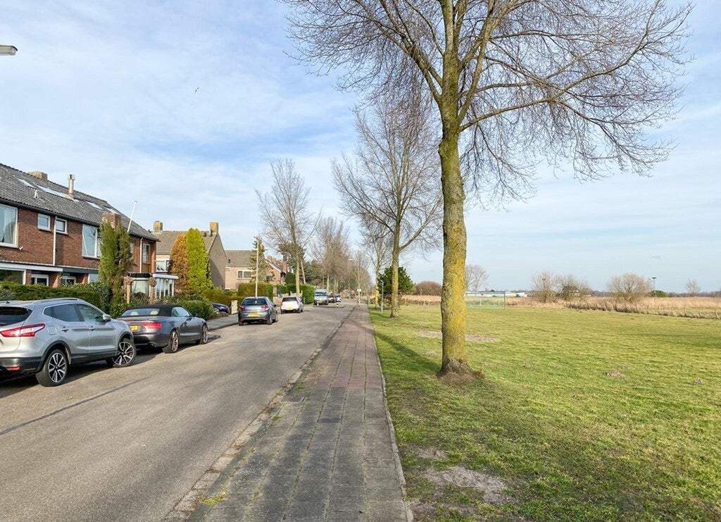 Afbeelding 2 van 25