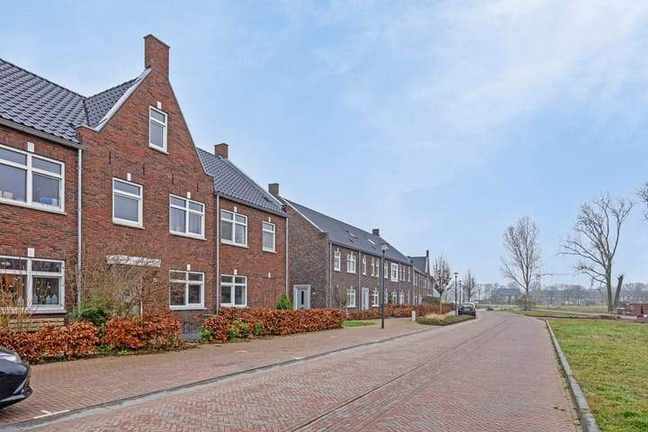 Afbeelding 1 van 17