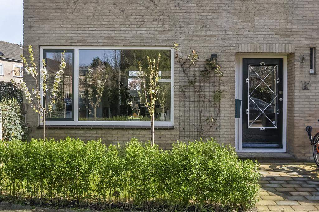 Afbeelding 3 van 38