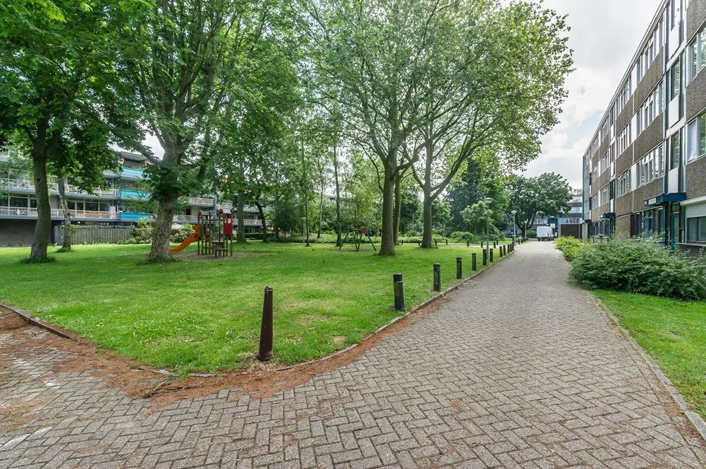 Image 24 of 25
