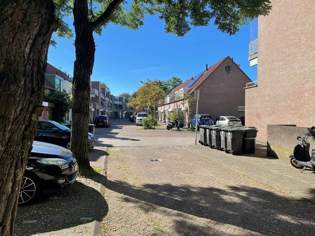 Afbeelding 3 van 16
