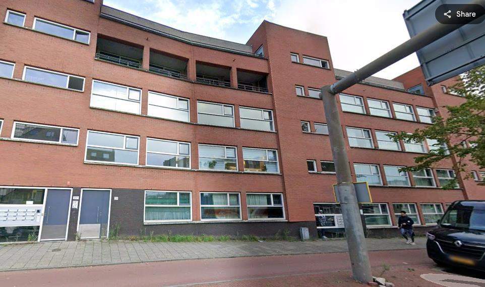 Afbeelding 3 van 3
