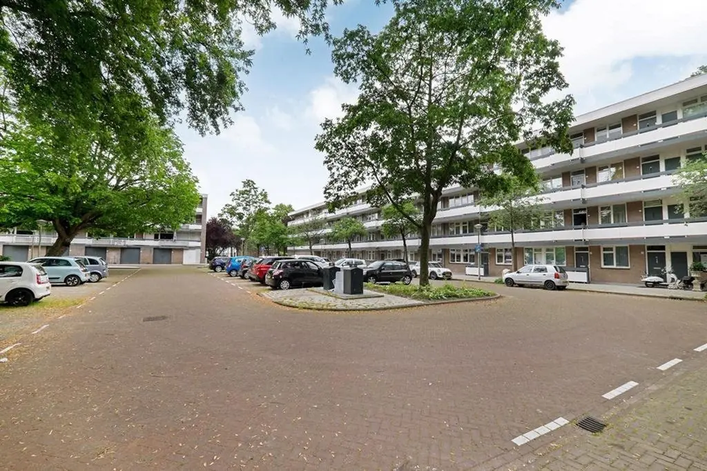Image 19 of 20