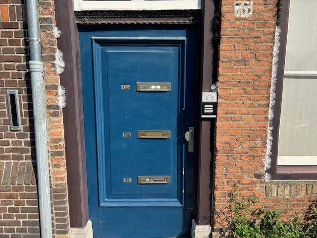 Afbeelding 2 van 10