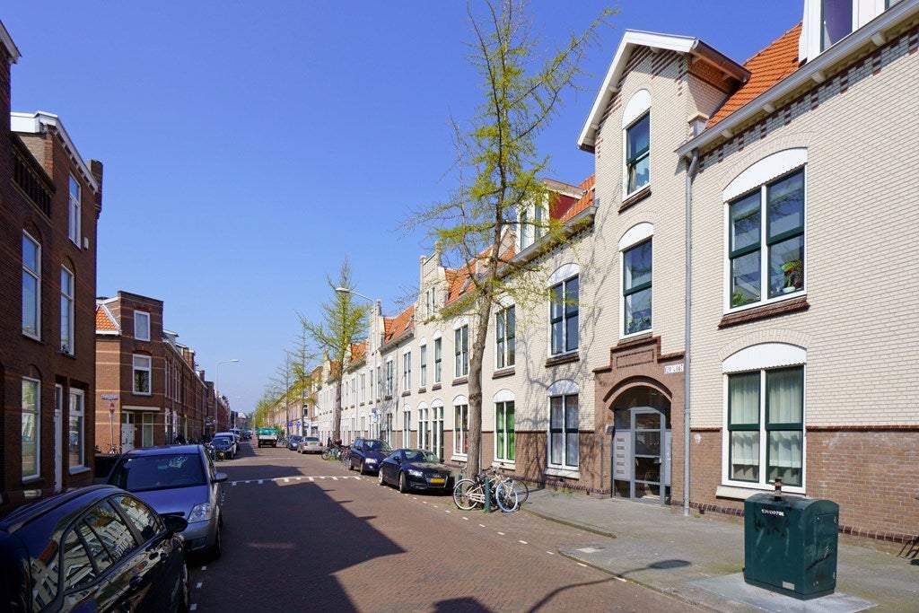 Afbeelding 3 van 35
