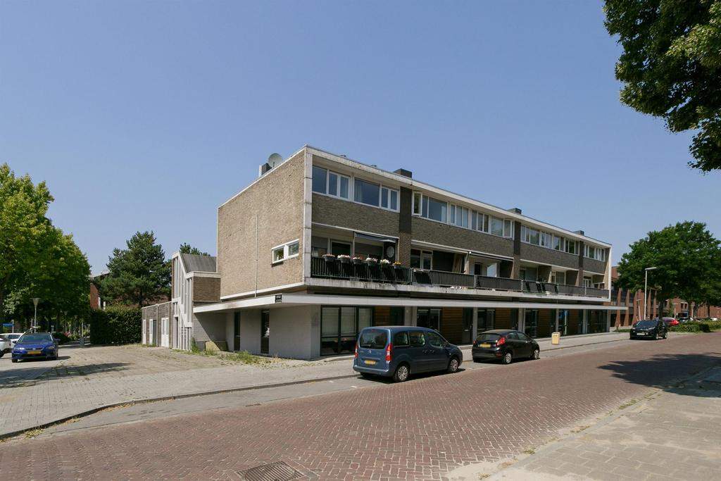 Afbeelding 1 van 25