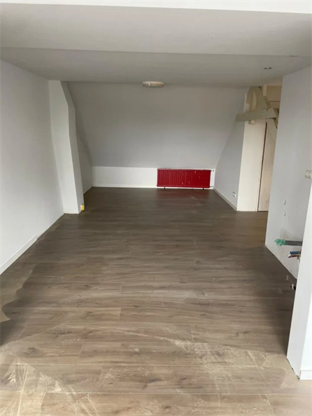 Imagen 3 de 5