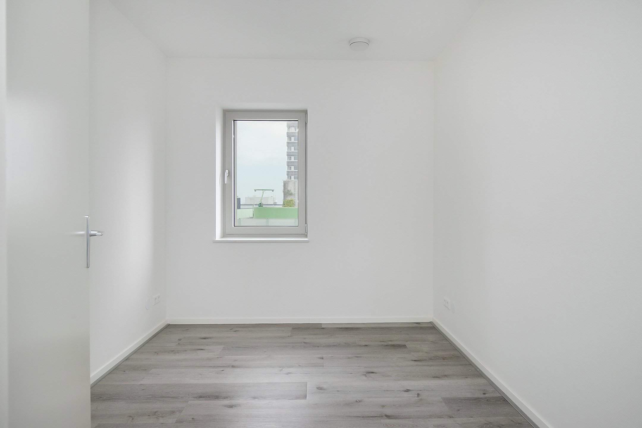 Bild 7 von 17