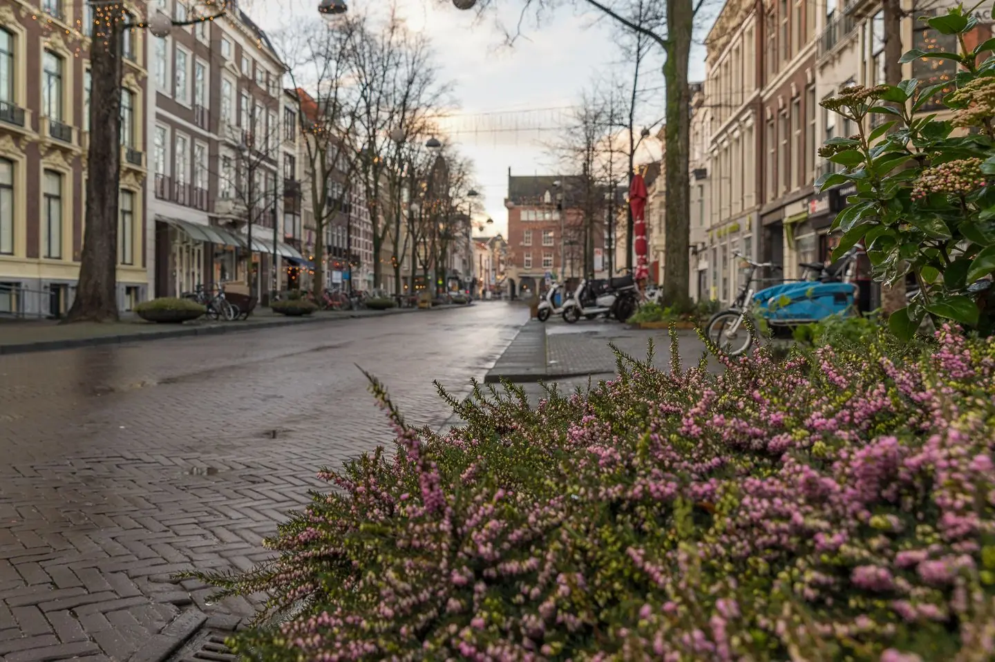 Afbeelding 20 van 22