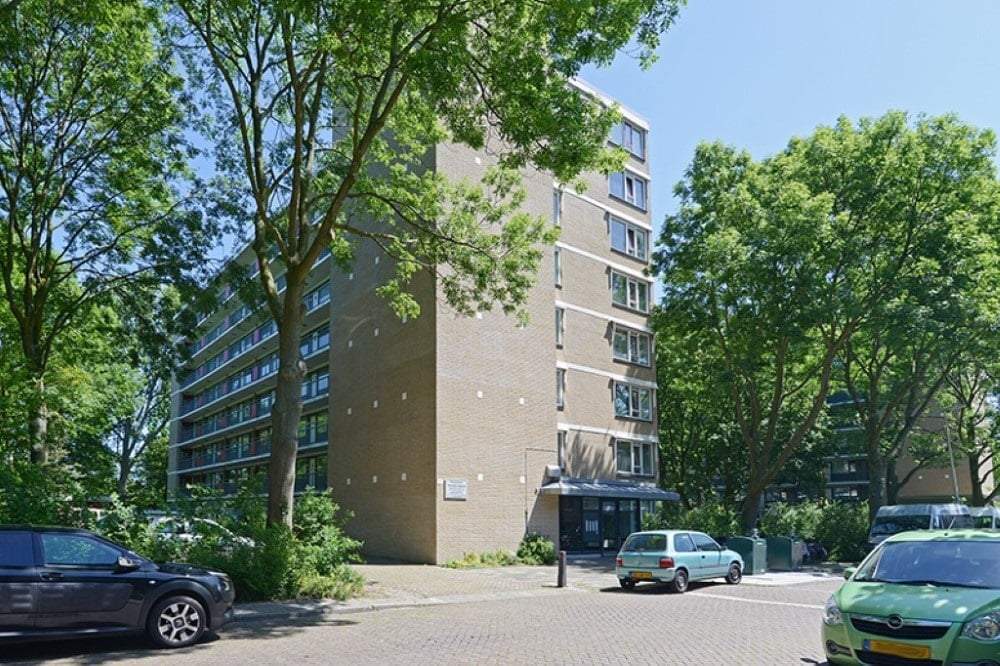 Afbeelding 2 van 5