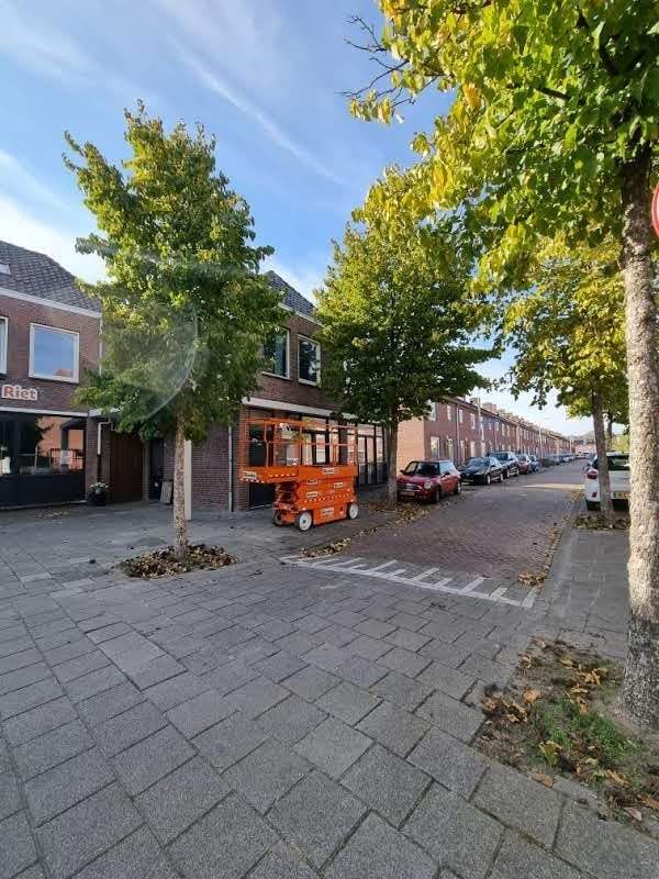 Afbeelding 1 van 7