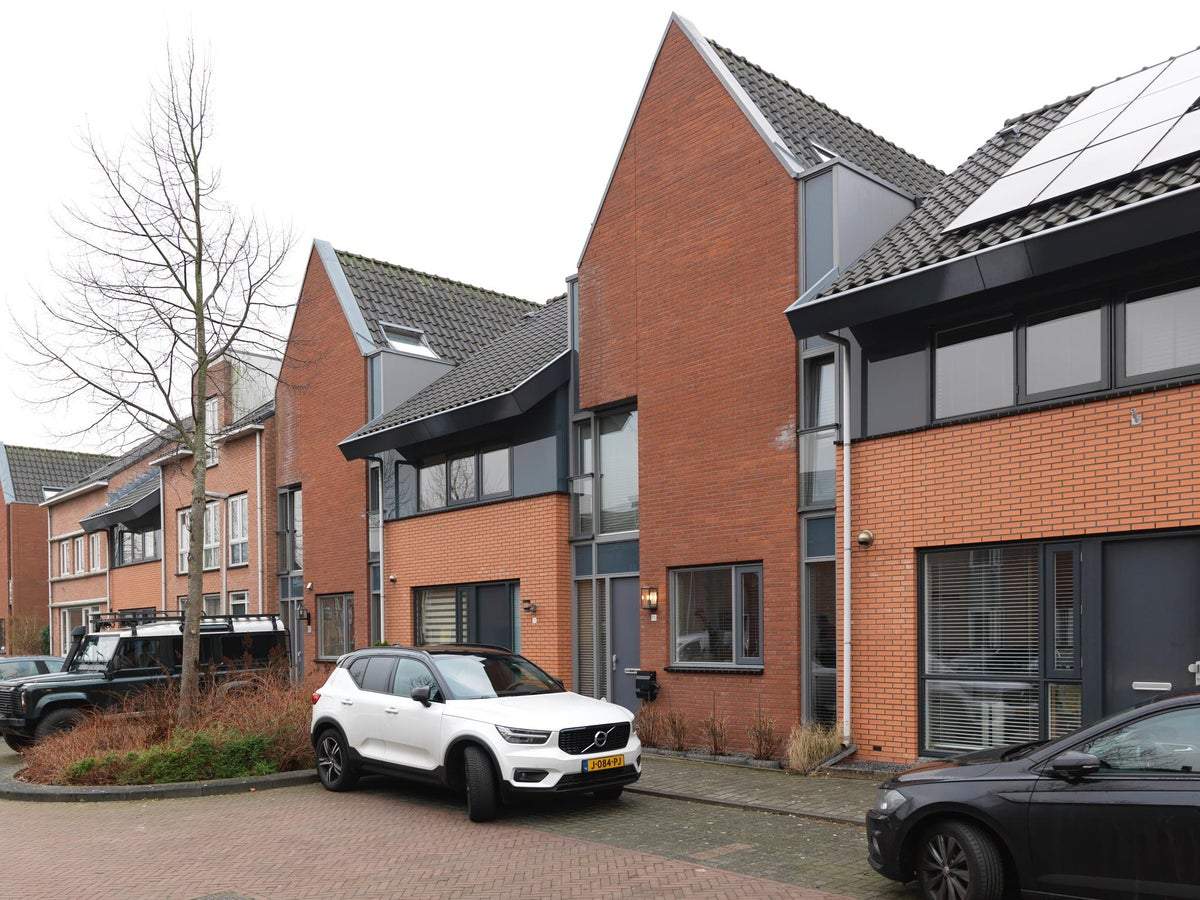 Afbeelding 1 van 24