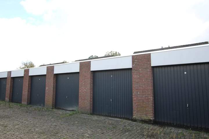 Afbeelding 1 van 1